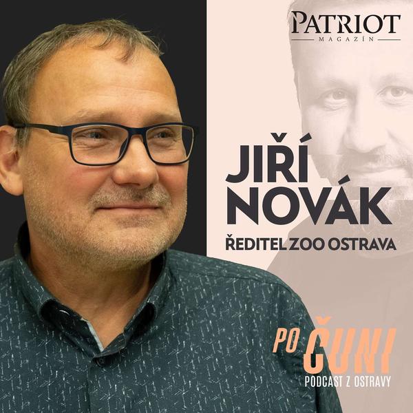 Po čuni